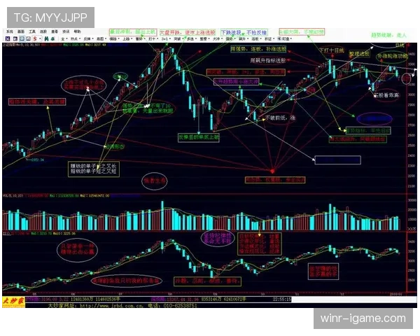 欧洲杯红牌影响深度解析：关键决策如何左右比赛走势